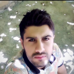 alireza1990