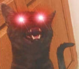 djidji