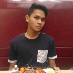 farisdanish