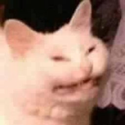kazuoppp
