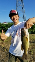 shingo314jpn