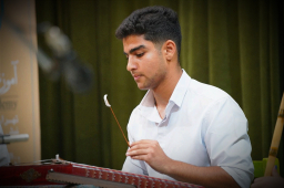 amirrezahalimi
