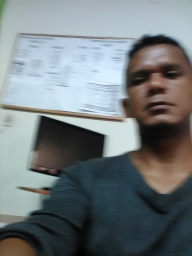 danplaylife