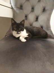 heleninuk