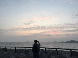 sunnyzhang