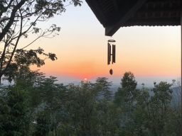 tamhien